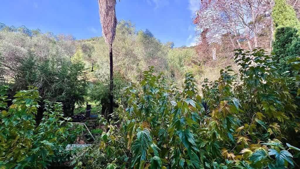 Casamea - Spacieux T3 Famille, Vue Mer, Parking 阿雅克肖 外观 照片